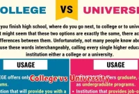 College vs University