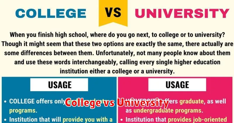 College vs University