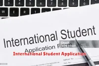 International Student Application