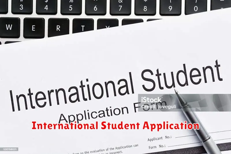 International Student Application